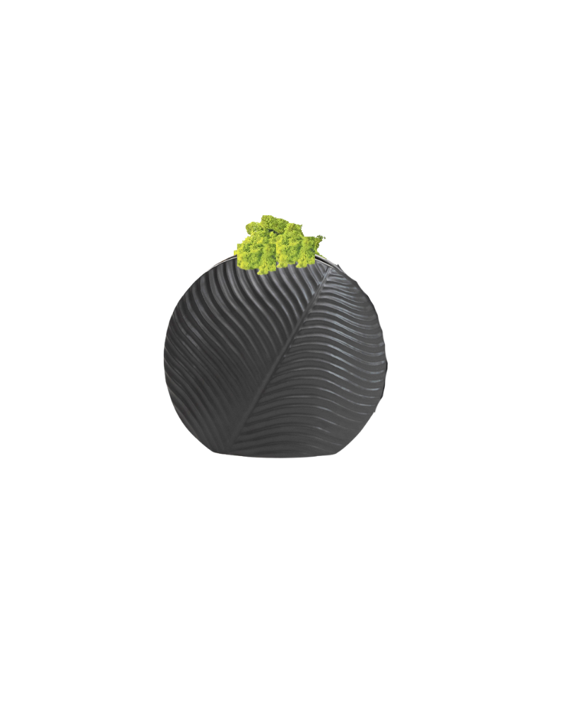 Caper Vase Small with Moss - Black