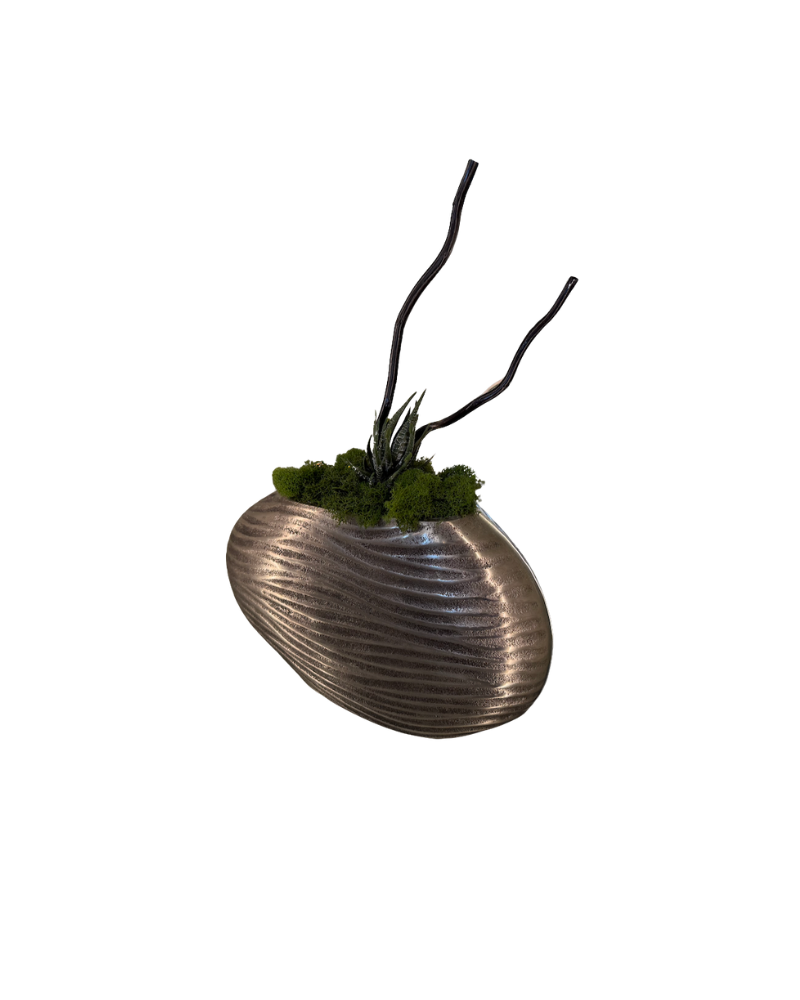 Silver Wave Container Floral