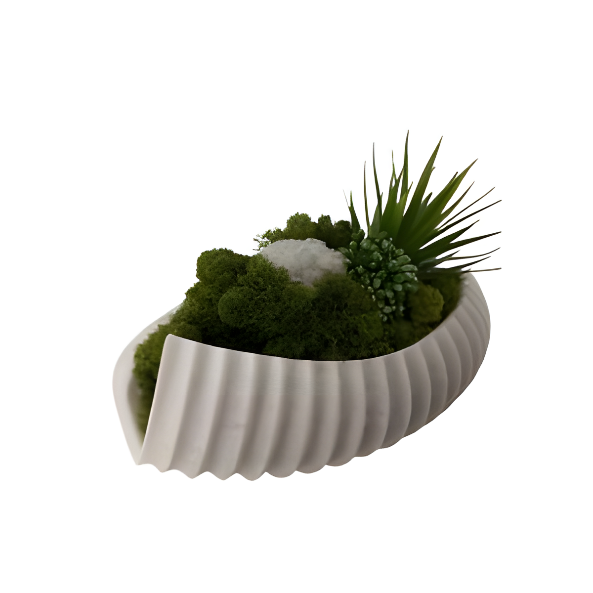 Botanical Arrangement in White Ribbed Vessel