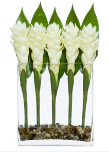 WHITE TORCH GINGER WATER LIKE