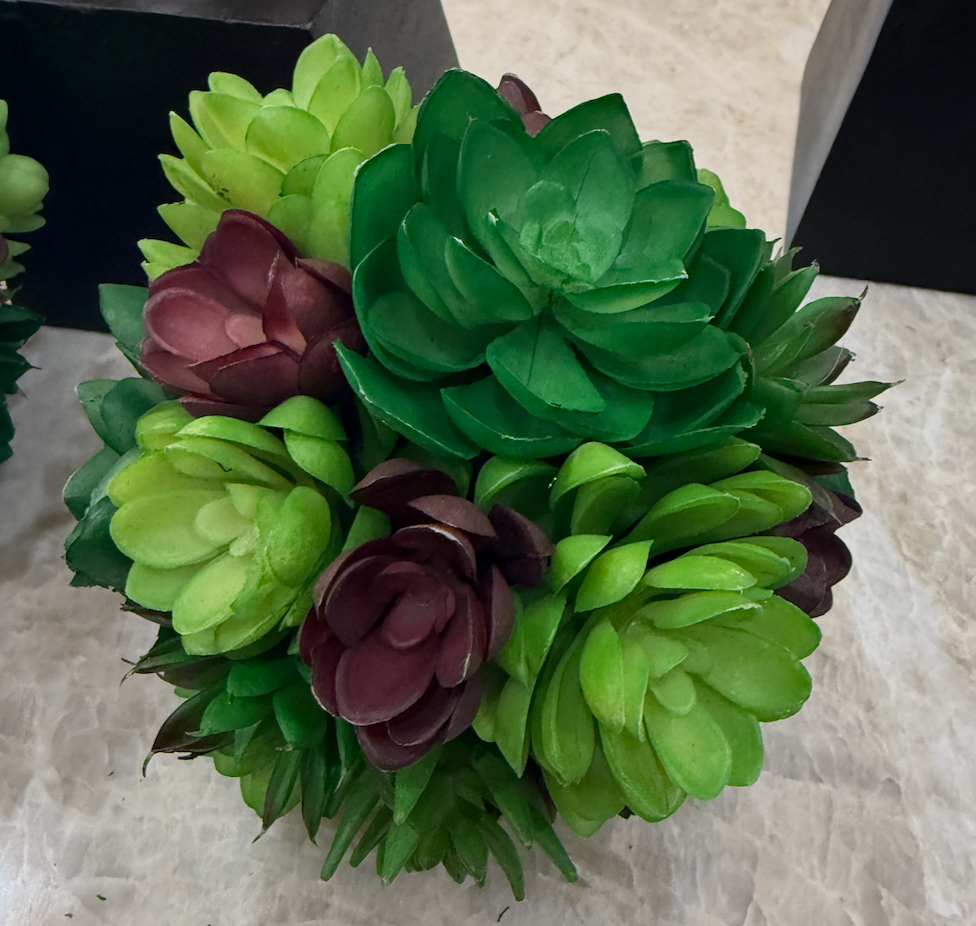Succulent Ball