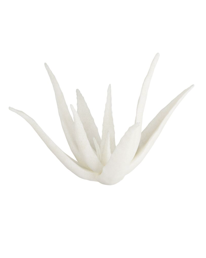 Zaloe Ivory Sculpture - Cream