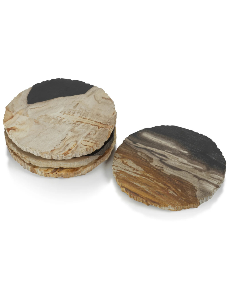 Petrified Wood Coasters - Brown/Black