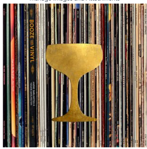 Booze and Vinyl Book