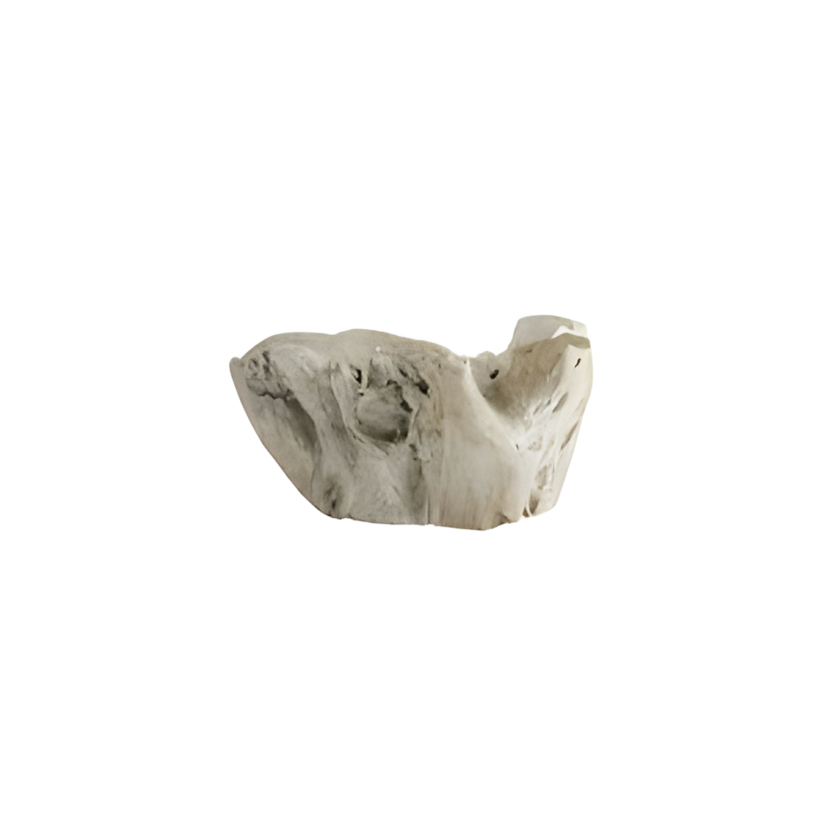 Nantucket Sculptural Centerpiece