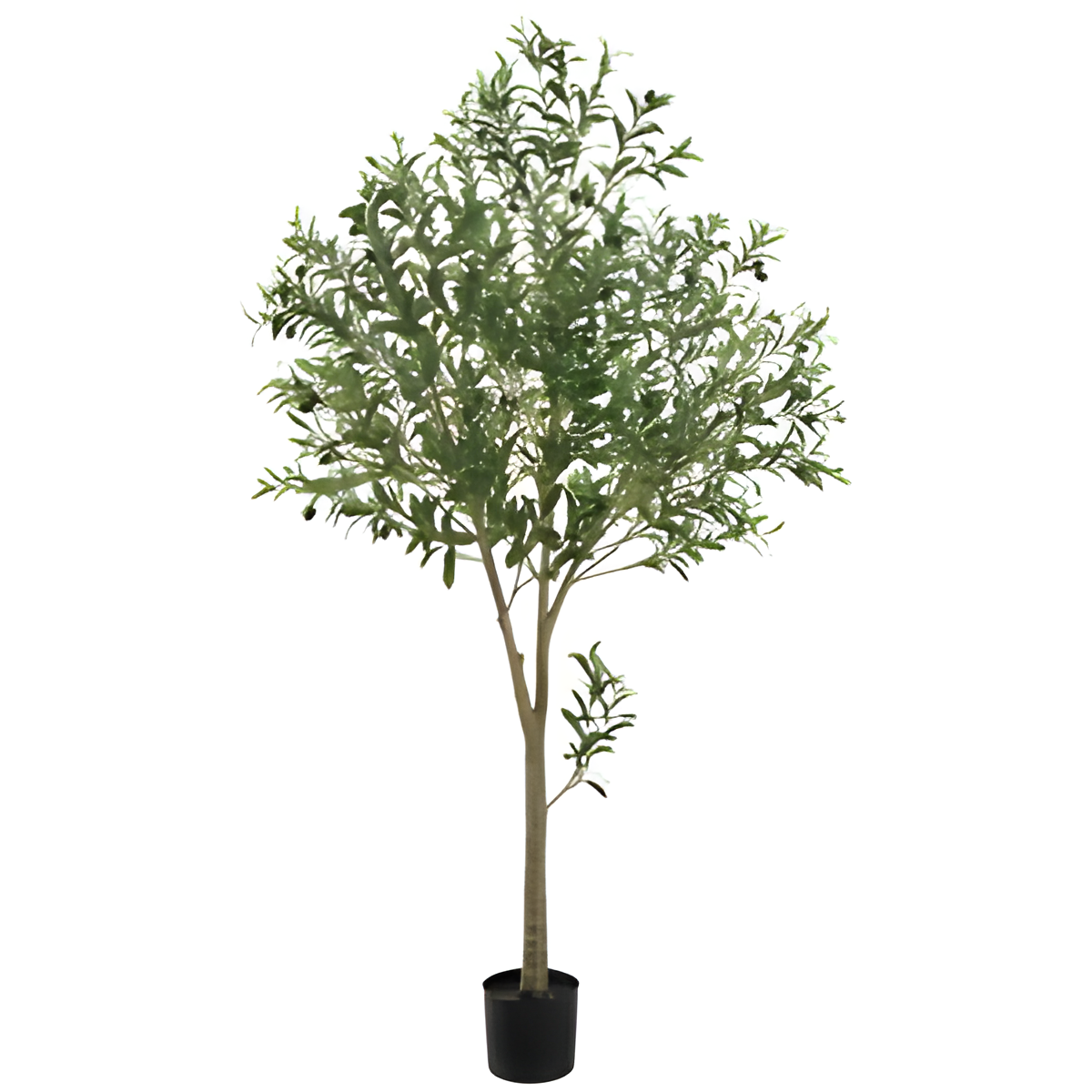 Decorative Olive Tree in Plastic Pot, 72 Inches