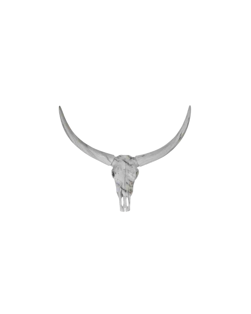 Resin Longhorn Wall Art  - White