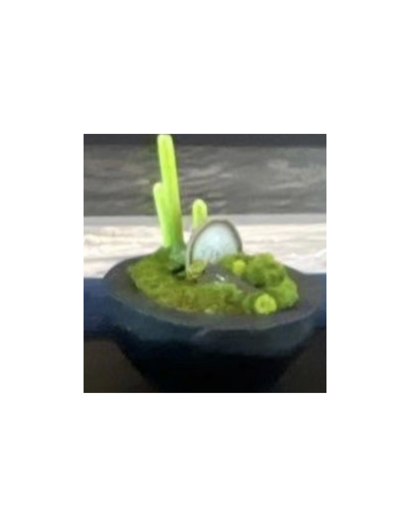 Carbonized Black Bowl Foral