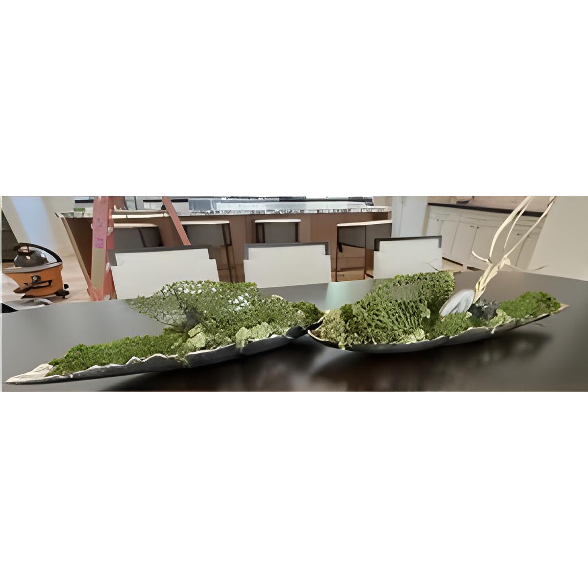 Botanical Arrangement with Willis Trays