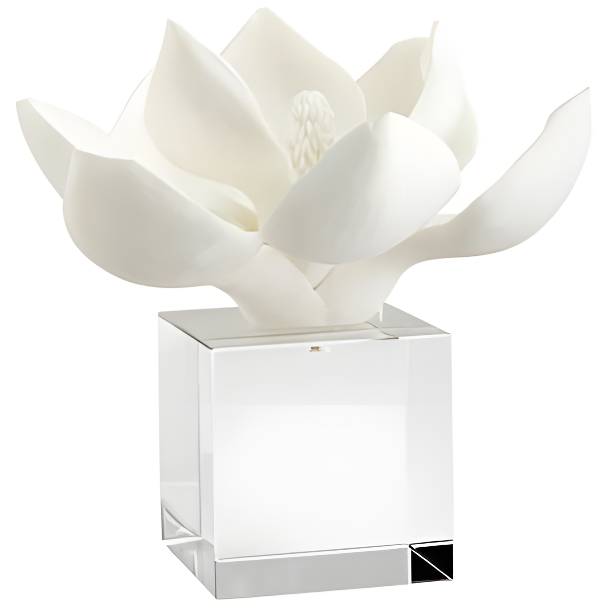 White Floral Sculpture on Clear Base