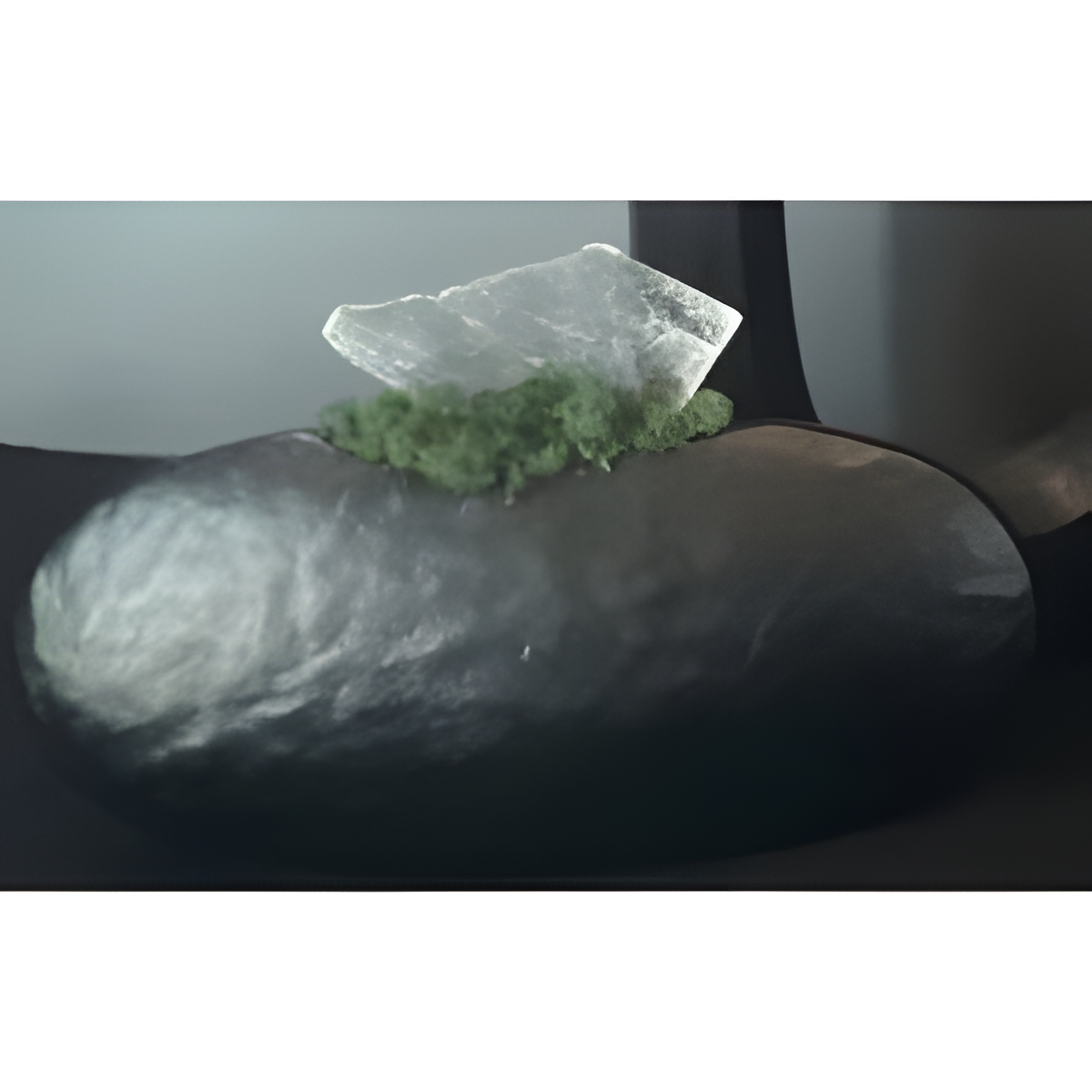 Botanical Arrangement in Black Sculptural Container