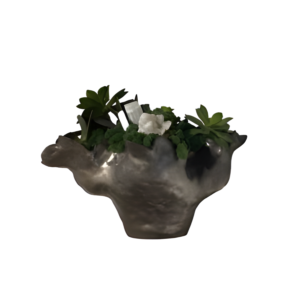 Botanical Arrangement in Organic Vessel