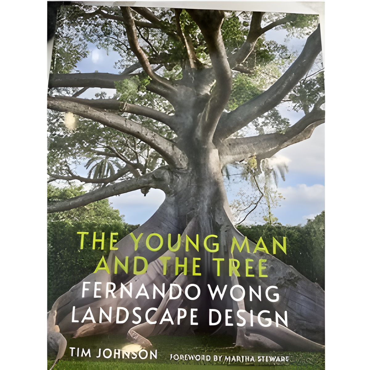 The Young Man and the Tree: Fernando Wong Landscape Design