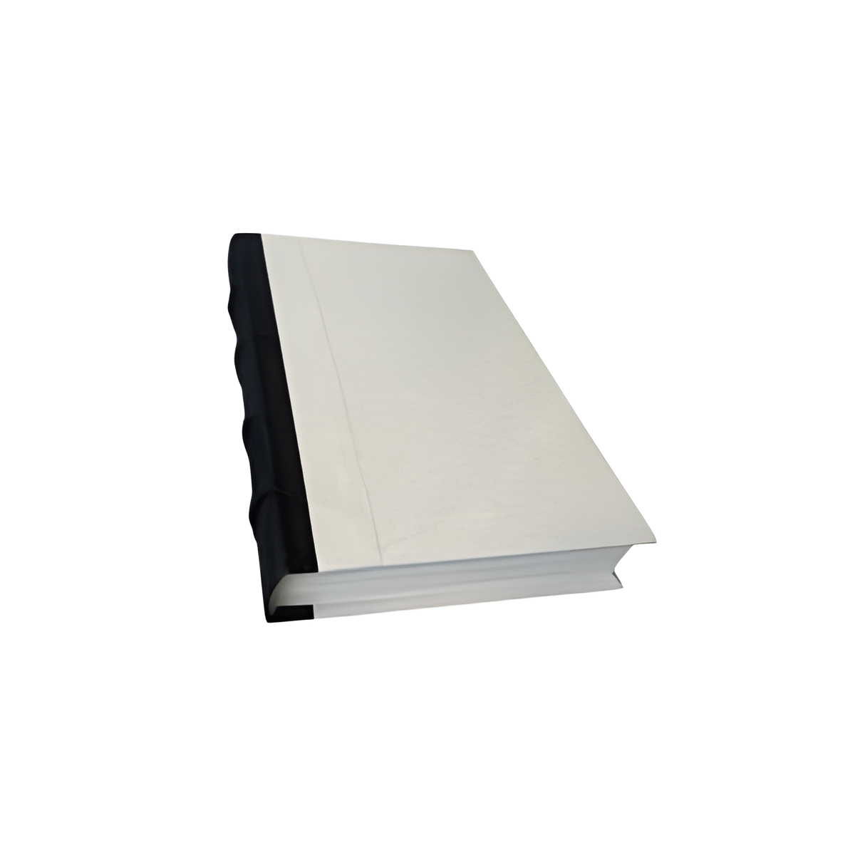 White Decorative Book