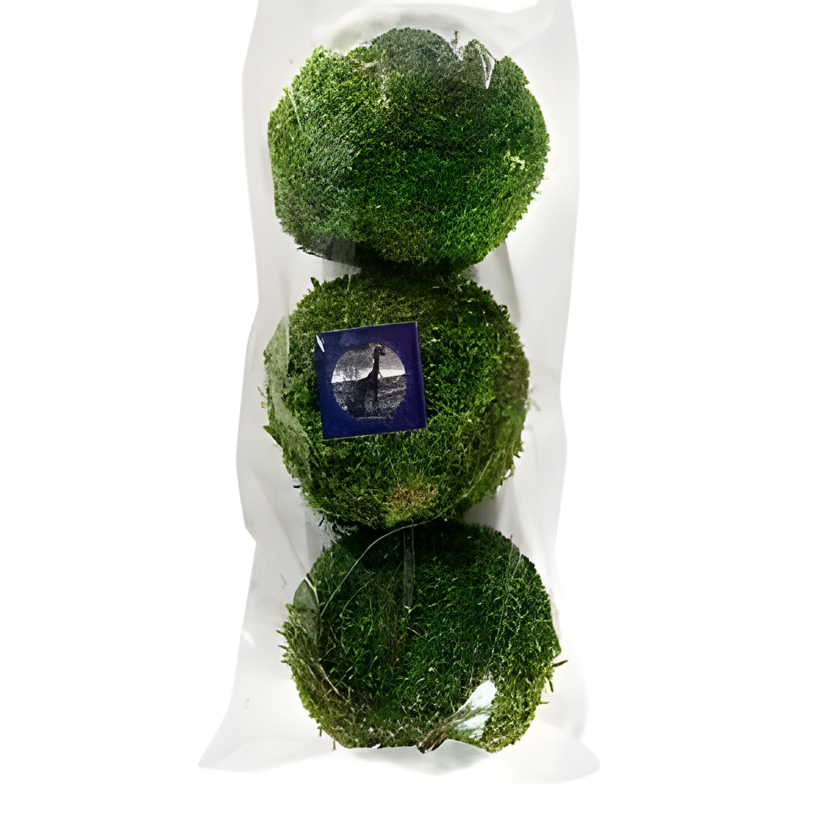 Green Decorative Moss Balls