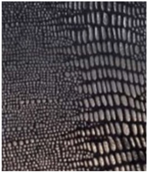 SSI Cali King Blanket Black Snake