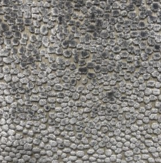 Cash and Carry Fabric