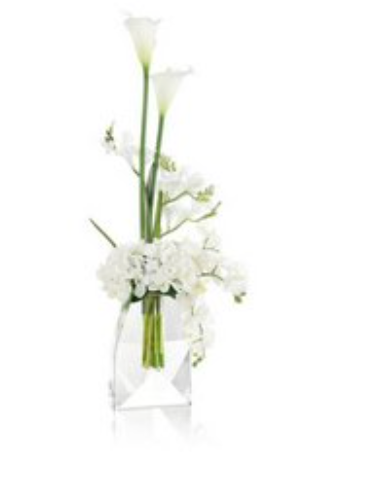 Snow White Blossoms - White