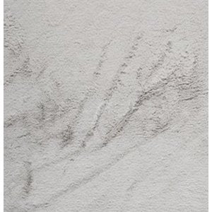 Cash and Carry Fabric