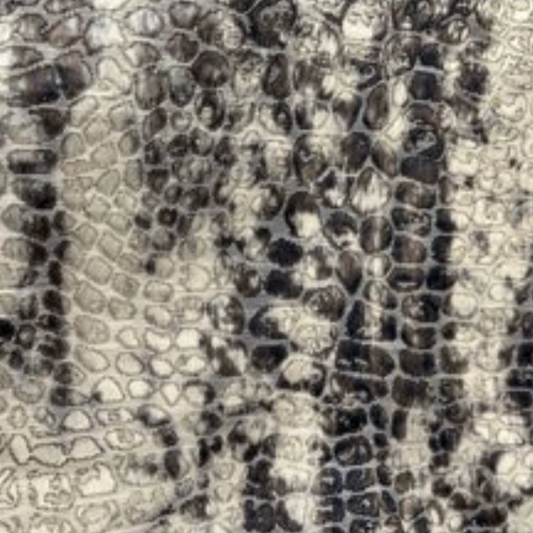 Multicolor Crocodile