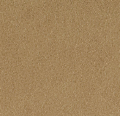 Cash and Carry Fabric