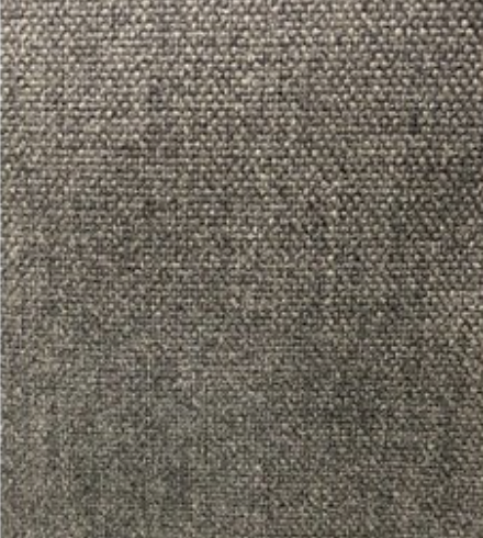Cash and Carry Fabric
