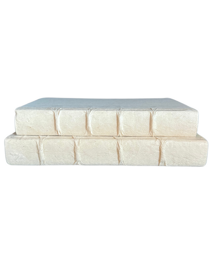 Decorative Books - Champagne - Set of 2