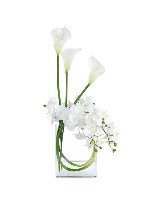 Snow White Blooms