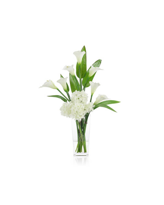 Callas and Pickerel