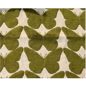 Cash and Carry Fabric